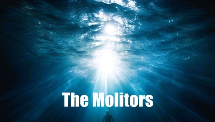 Concert – The Molitors